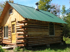 Sealing The Cracks Image